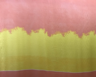 CETIM DE SEDA PURA ESTAMPADO