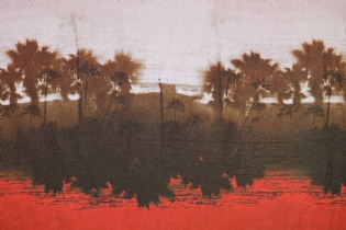 VISCOSE ESTAMPADA COQUEIROS