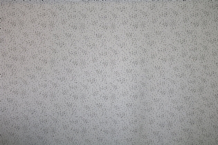 MUSSELINE PLISSADA ESTAMPADA POÁS BRANCO & PRETO